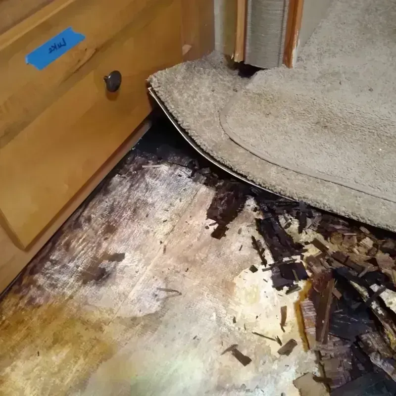 Best Wood Floor Water Damage Service in Dinuba, CA